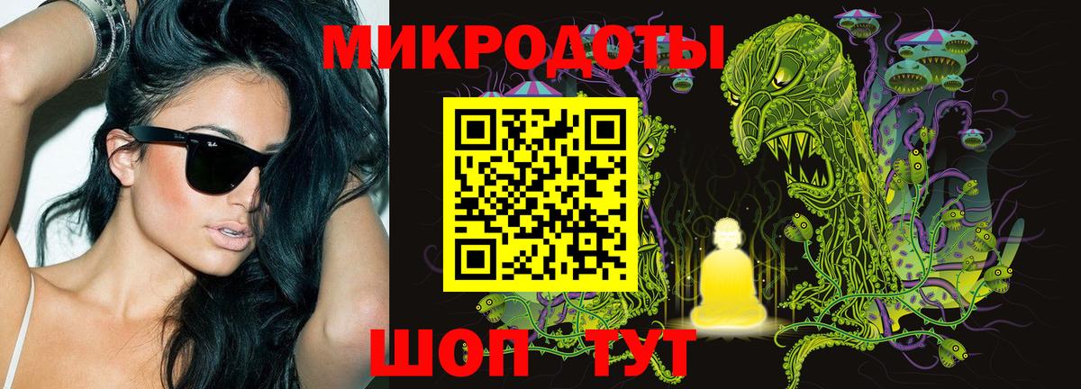 Псилоцибиновые грибы GOLDEN TEACHER Майкоп