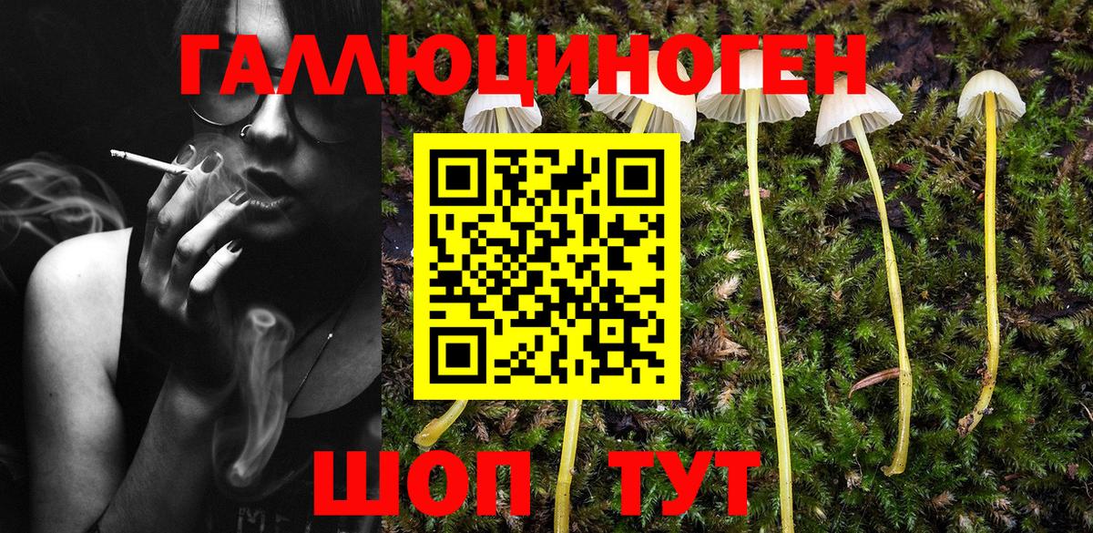 Галлюциногенные грибы Cubensis  Псилоцибиновые грибы прущие грибы  Вход с VPN  закладка  Майкоп 