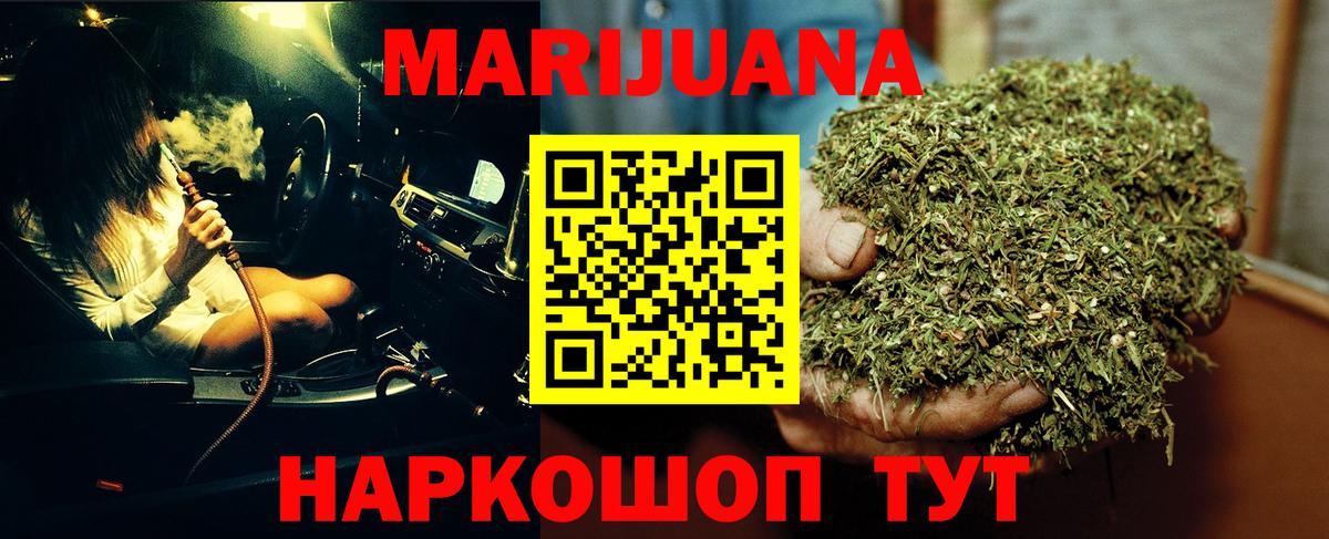 Каннабис OG Kush Майкоп